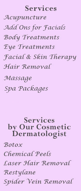 Services menu